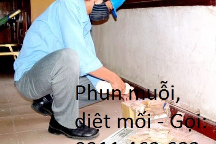 Dịch vụ 5S