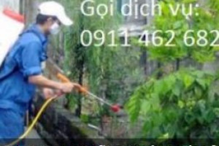 Dịch vụ 5S