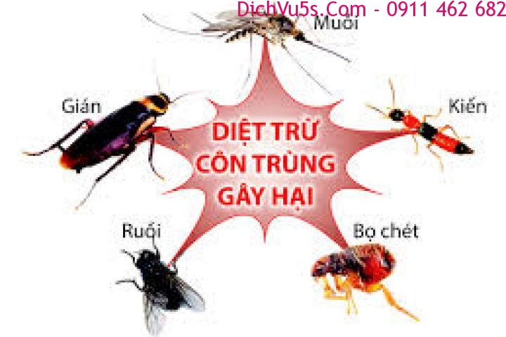 Dịch vụ 5S