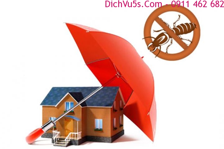 Dịch vụ 5S