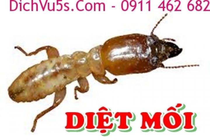 Dịch vụ 5S