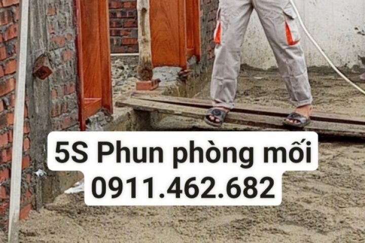 Dịch vụ 5S