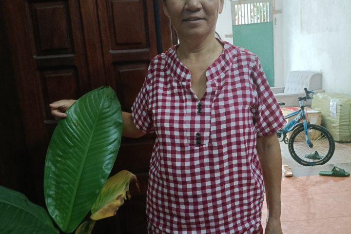 Dịch vụ 5S