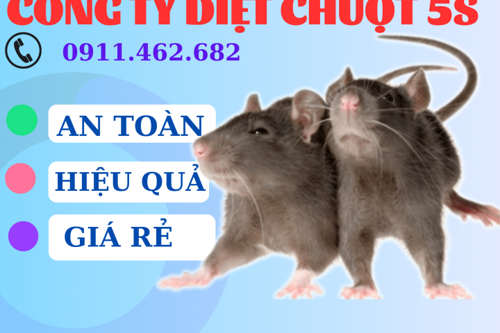 Dịch vụ 5S